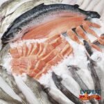 Protein Powder from Fish Meal