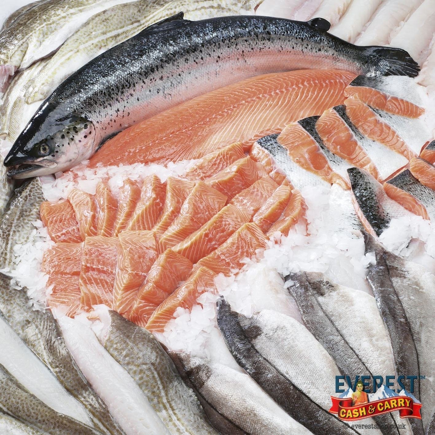 1c Protein Powder from Fish Meal - Image 1
