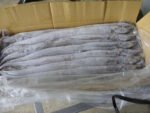 Protein Powder from Fish Meal - Image 2
