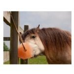 Pink Salt on Rope for Horse