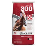 High Quality Horse Feed