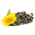 Sunflower Meal for Horses - Image 2